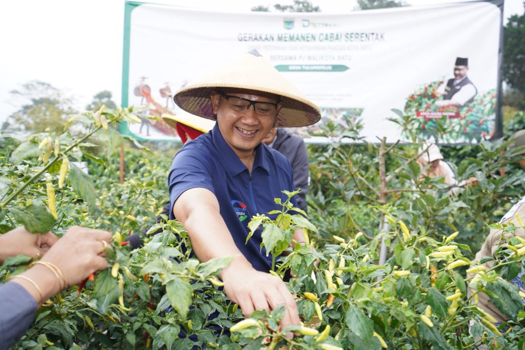 Pj. Wali Kota Batu Aries Panen Hasil Pertanian Tanaman Pangan dan Serahkan Bantuan untuk&nbsp;Gapoktan