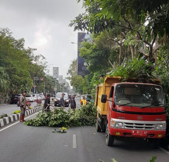 DPUPR Kota Batu Gercep Lakukan Pemangkasan Pohon Rawan Tumbang, Beri Keamanan Masyarakat